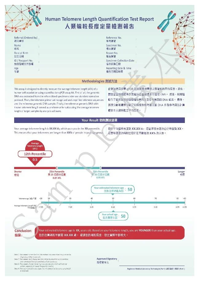 端粒長度測試樣本報告